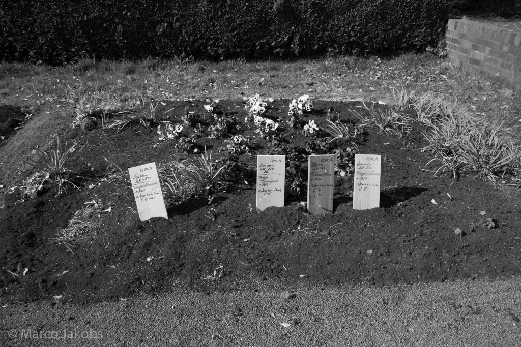 140329145222 Marco Jakobs 155